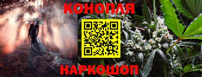 PSILOCYBIN Донской