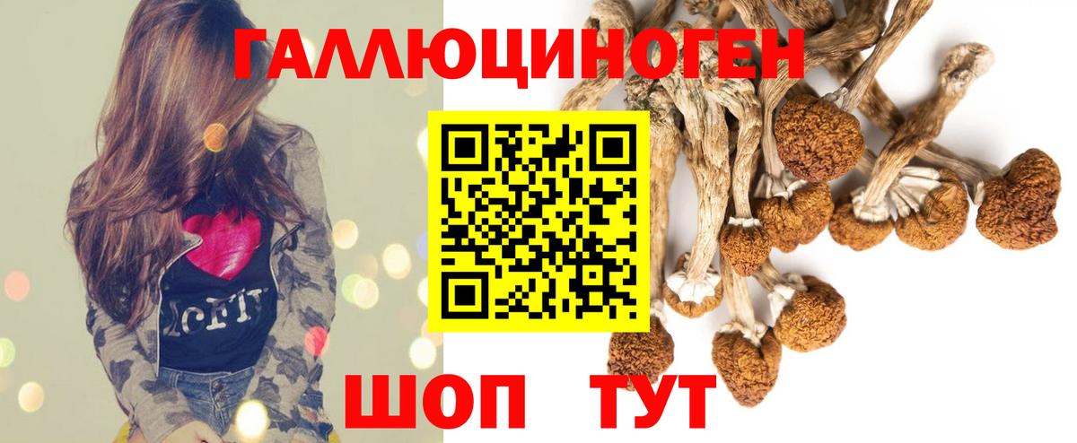 Мичуринск  Псилоцибиновые грибы ЛСД  Вход с VPN 