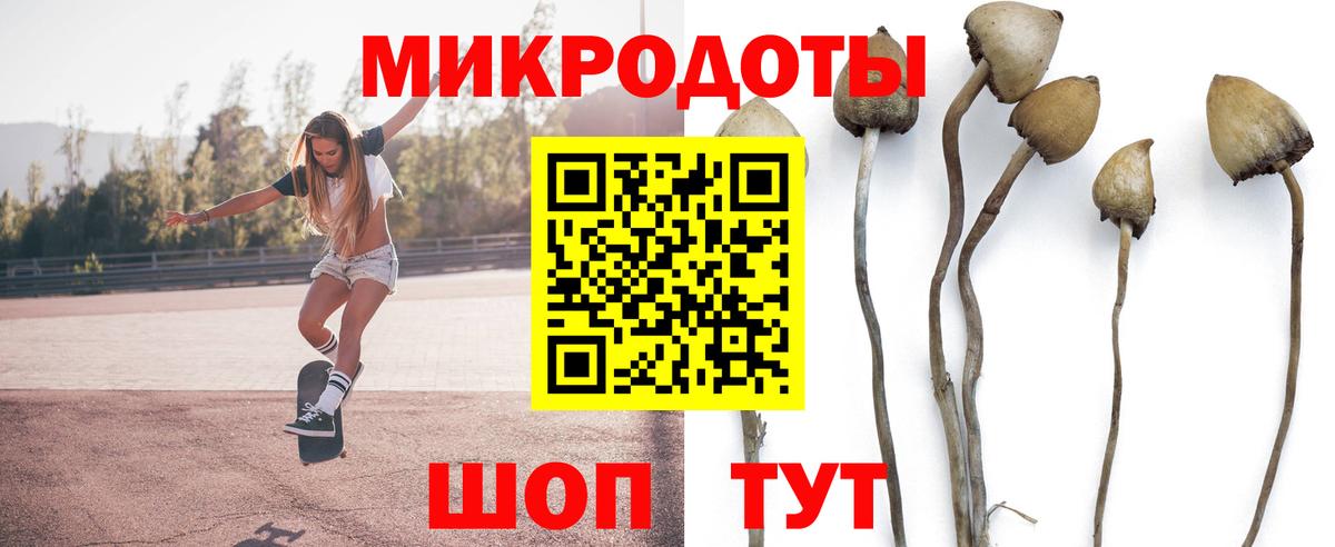 Галлюциногенные грибы Magic Shrooms Мичуринск